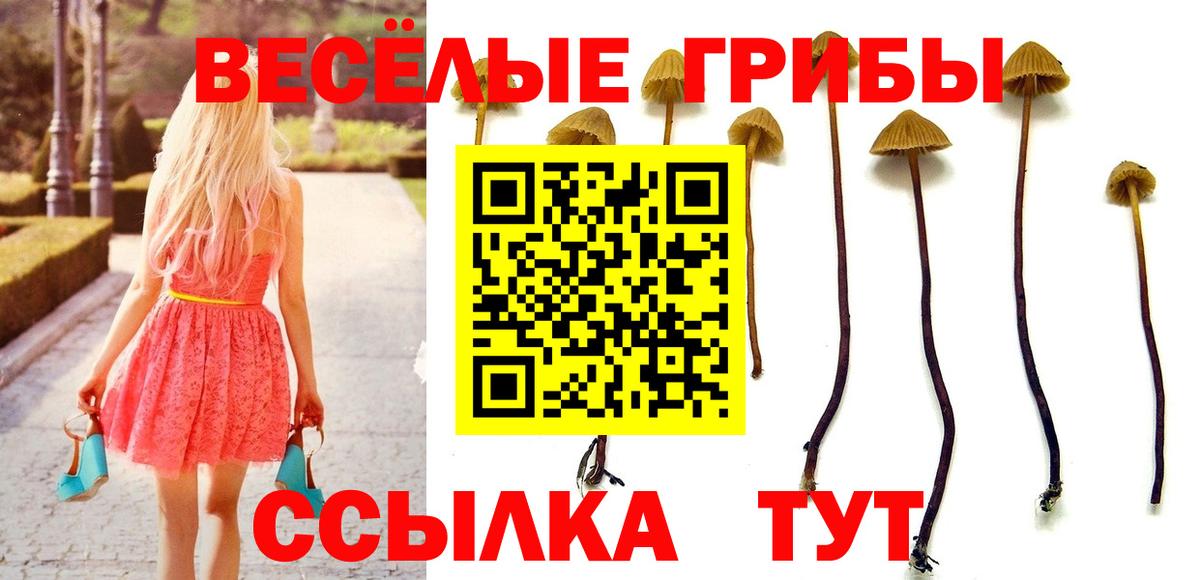 Псилоцибиновые грибы Psilocybe  Вход с VPN  Миасс  Галлюциногенные грибы Psilocybine cubensis 